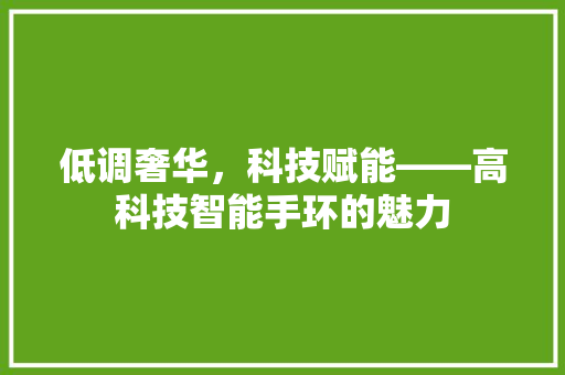 低调奢华，科技赋能——高科技智能手环的魅力