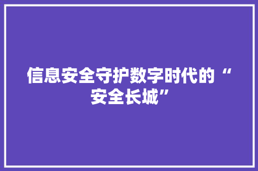 信息安全守护数字时代的“安全长城”