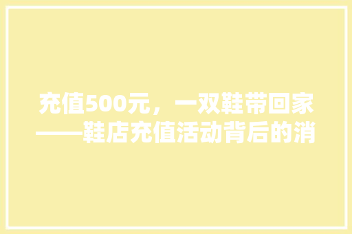 充值500元，一双鞋带回家——鞋店充值活动背后的消费心理学  第1张