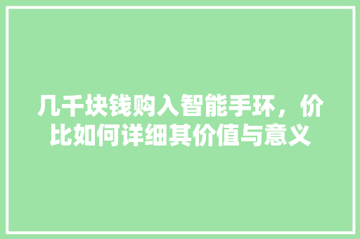 几千块钱购入智能手环，价比如何详细其价值与意义