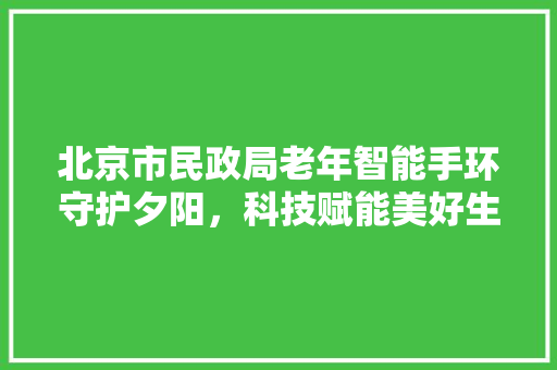 北京市民政局老年智能手环守护夕阳，科技赋能美好生活