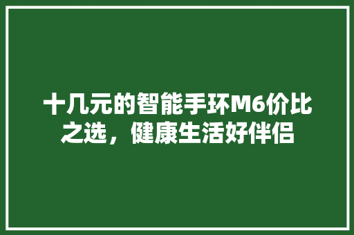 十几元的智能手环M6价比之选，健康生活好伴侣