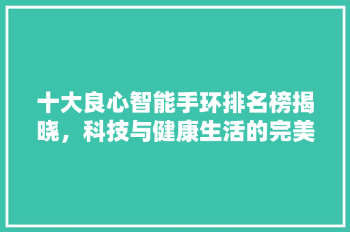 十大良心智能手环排名榜揭晓，科技与健康生活的完美结合  第1张