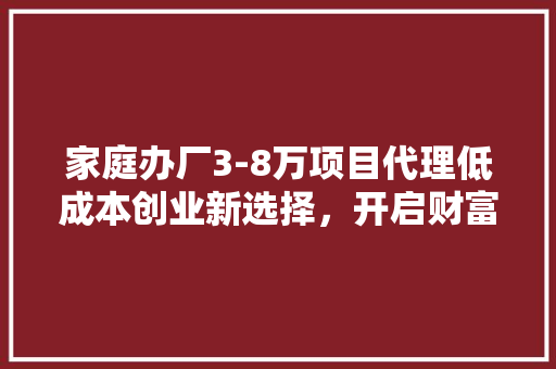 家庭办厂3-8万项目代理低成本创业新选择，开启财富之门