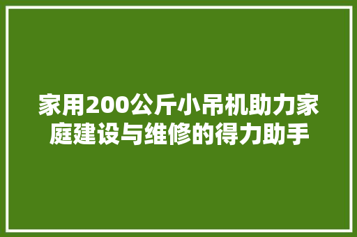 家用200公斤小吊机助力家庭建设与维修的得力助手