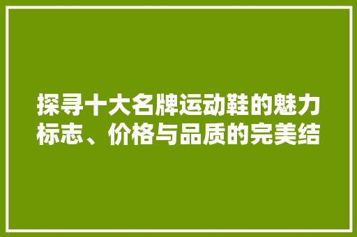 探寻十大名牌运动鞋的魅力标志、价格与品质的完美结合