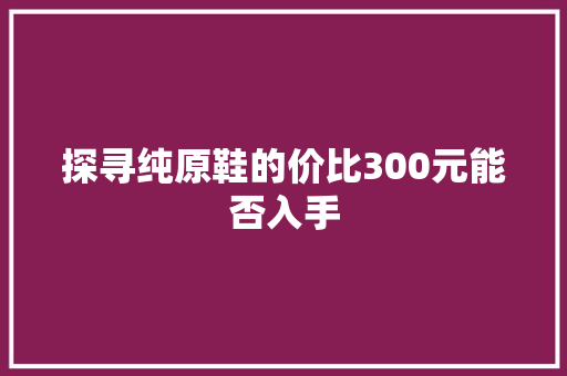 探寻纯原鞋的价比300元能否入手