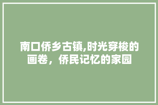 南口侨乡古镇,时光穿梭的画卷，侨民记忆的家园