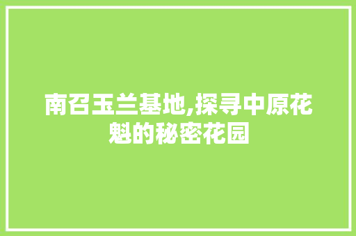 南召玉兰基地,探寻中原花魁的秘密花园