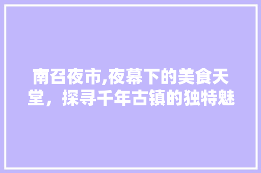 南召夜市,夜幕下的美食天堂，探寻千年古镇的独特魅力