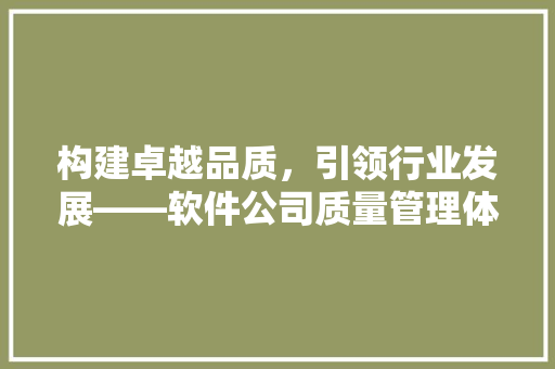 构建卓越品质，引领行业发展——软件公司质量管理体系认证之路