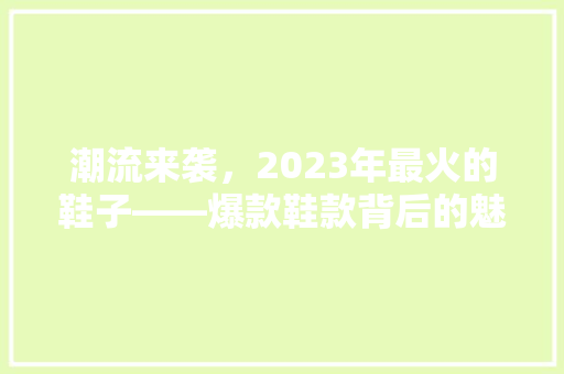 潮流来袭，2023年最火的鞋子——爆款鞋款背后的魅力