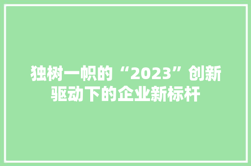 独树一帜的“2023”创新驱动下的企业新标杆