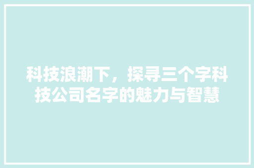 科技浪潮下，探寻三个字科技公司名字的魅力与智慧