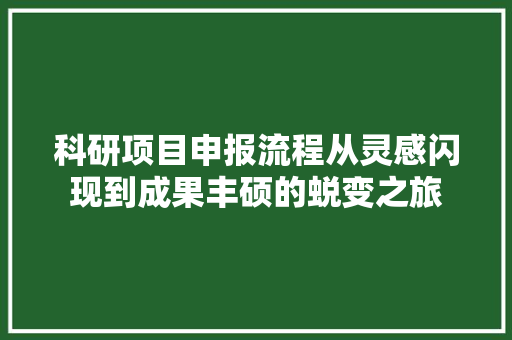 科研项目申报流程从灵感闪现到成果丰硕的蜕变之旅