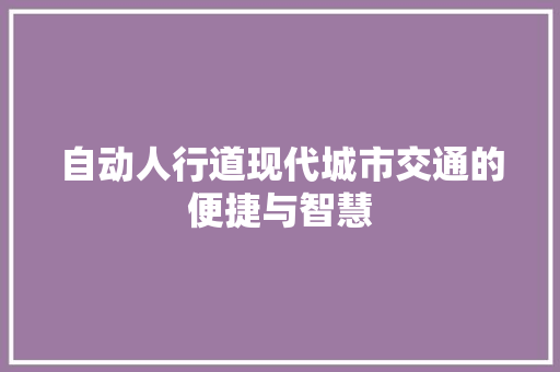 自动人行道现代城市交通的便捷与智慧