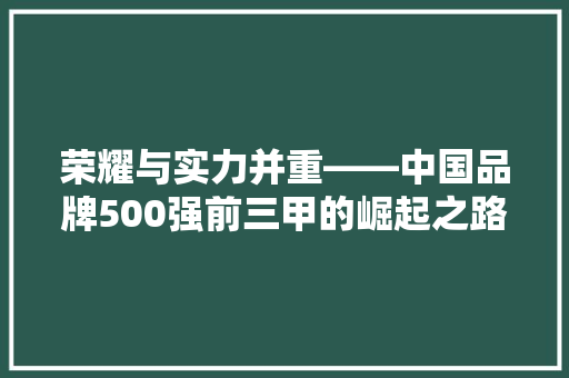 荣耀与实力并重——中国品牌500强前三甲的崛起之路  第1张