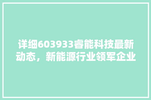 详细603933睿能科技最新动态，新能源行业领军企业未来发展方向