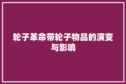 轮子革命带轮子物品的演变与影响  第1张