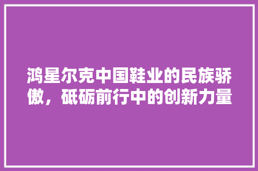 鸿星尔克中国鞋业的民族骄傲，砥砺前行中的创新力量