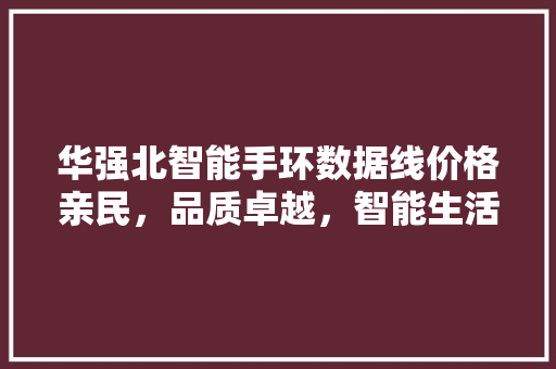 华强北智能手环数据线价格亲民，品质卓越，智能生活新选择