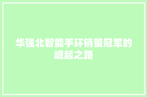 华强北智能手环销量冠军的崛起之路  第1张