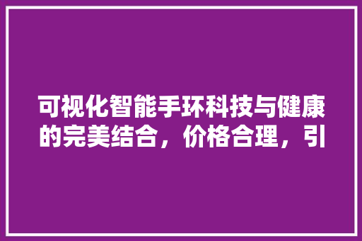 可视化智能手环科技与健康的完美结合，价格合理，引领健康生活新潮流