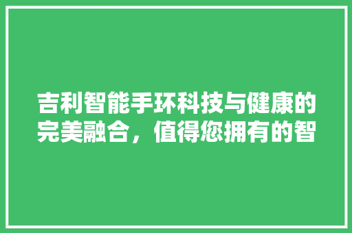 吉利智能手环科技与健康的完美融合，值得您拥有的智能生活神器