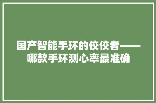 国产智能手环的佼佼者——哪款手环测心率最准确