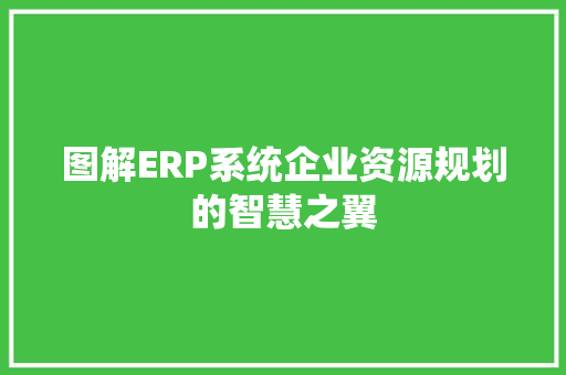 图解ERP系统企业资源规划的智慧之翼