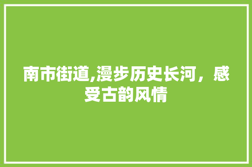 南市街道,漫步历史长河，感受古韵风情