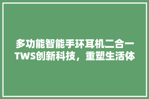 多功能智能手环耳机二合一TWS创新科技，重塑生活体验