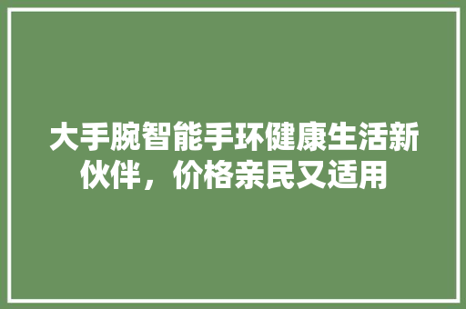 大手腕智能手环健康生活新伙伴，价格亲民又适用