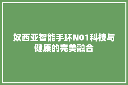 奴西亚智能手环N01科技与健康的完美融合