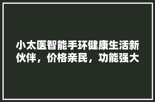 小太医智能手环健康生活新伙伴，价格亲民，功能强大