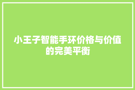 小王子智能手环价格与价值的完美平衡