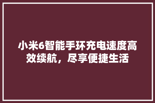 小米6智能手环充电速度高效续航，尽享便捷生活