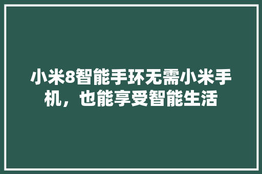 小米8智能手环无需小米手机，也能享受智能生活