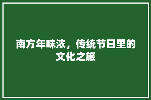 南方年味浓，传统节日里的文化之旅