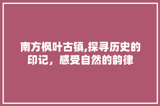 南方枫叶古镇,探寻历史的印记，感受自然的韵律