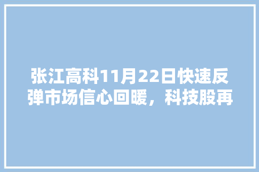 张江高科11月22日快速反弹市场信心回暖，科技股再迎春天