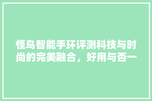 怪鸟智能手环评测科技与时尚的完美融合，好用与否一竟