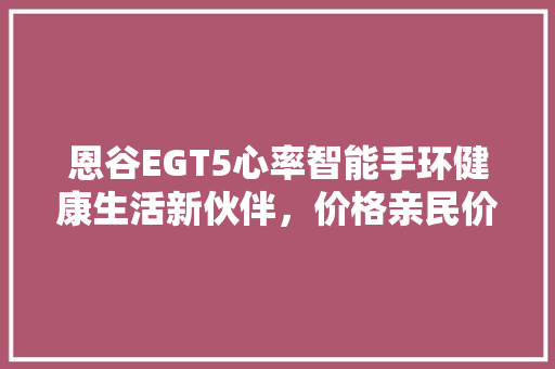 恩谷EGT5心率智能手环健康生活新伙伴，价格亲民价比高