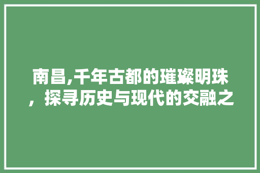 南昌,千年古都的璀璨明珠，探寻历史与现代的交融之地