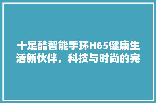 十足酷智能手环H65健康生活新伙伴，科技与时尚的完美融合  第1张