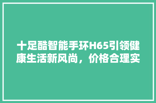 十足酷智能手环H65引领健康生活新风尚，价格合理实惠，助力健康管理升级