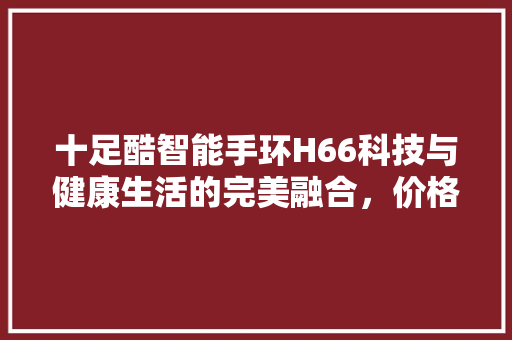 十足酷智能手环H66科技与健康生活的完美融合，价格亲民，品质卓越