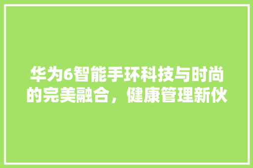 华为6智能手环科技与时尚的完美融合，健康管理新伙伴