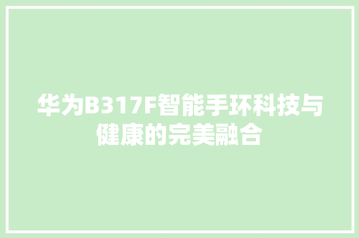 华为B317F智能手环科技与健康的完美融合  第1张