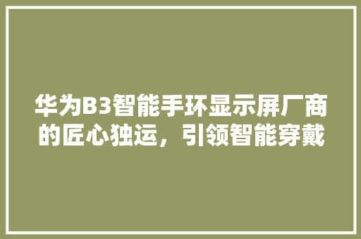 华为B3智能手环显示屏厂商的匠心独运，引领智能穿戴新潮流